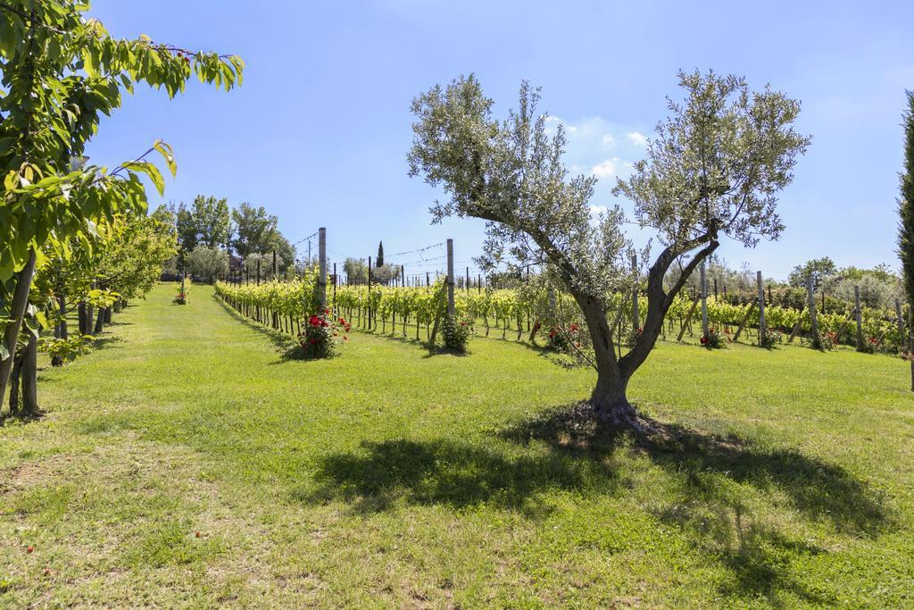 Agriturismo Le Bosche Saint-Marin Extérieur photo